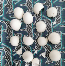 Charger l'image dans la galerie, La Marqueterie de coquilles d'œufs