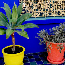 Charger l'image dans la galerie, MARRAKECH