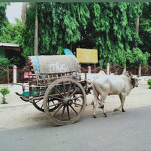 Charger l'image dans la galerie, ASIE