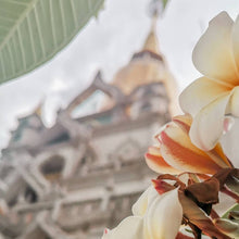 Charger l'image dans la galerie, ASIE