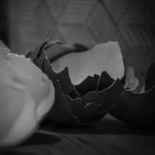 Charger l'image dans la galerie, La Marqueterie de coquilles d'œufs