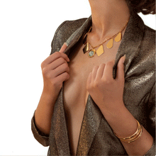 Charger l'image dans la galerie, Plastron COMICE